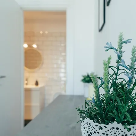 Appartement Old View *